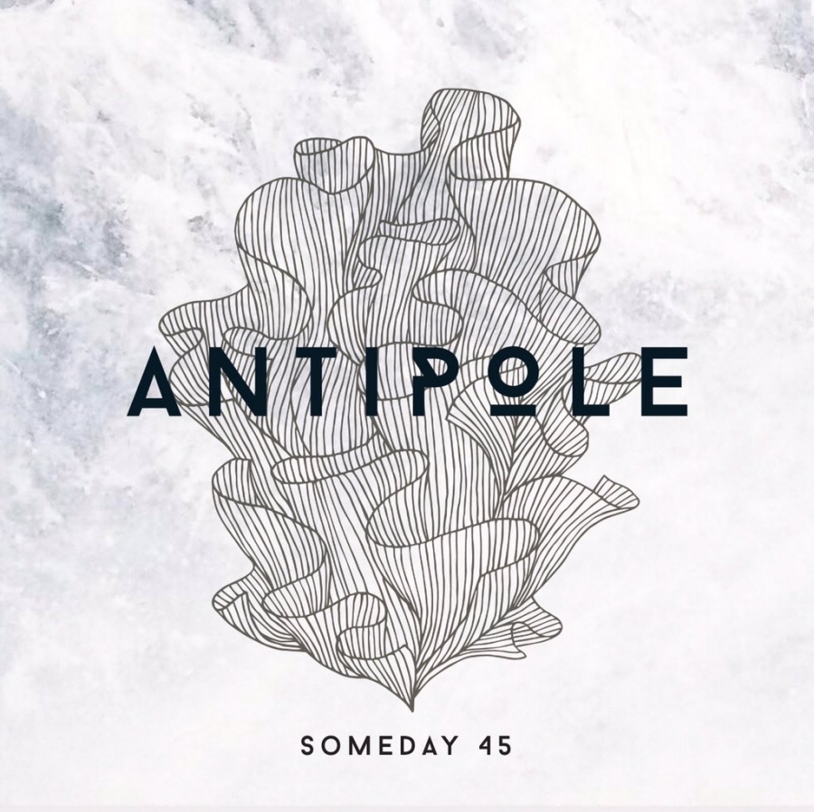 Antipole, Someday 45