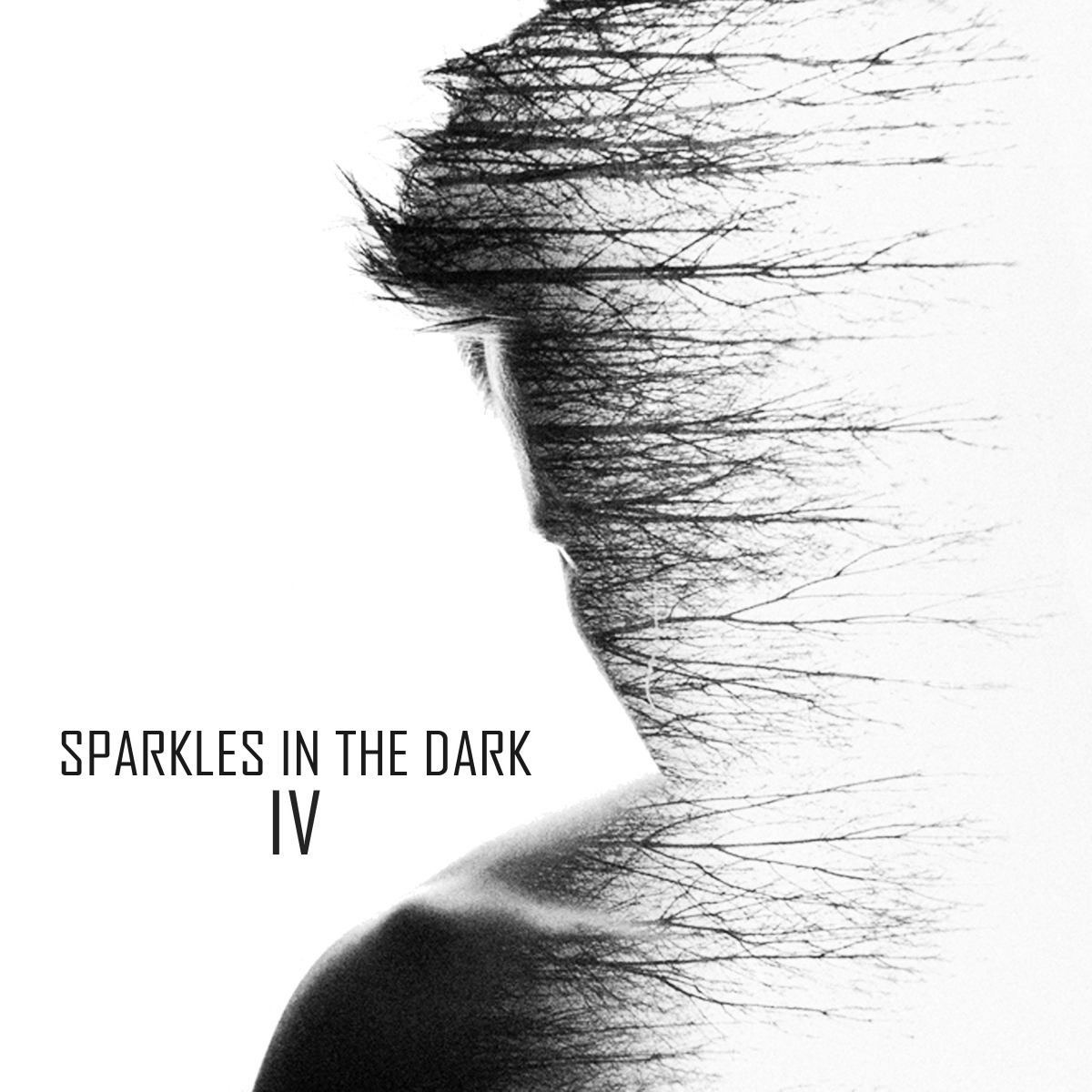 Various Artists, Sparkles In The Dark IV